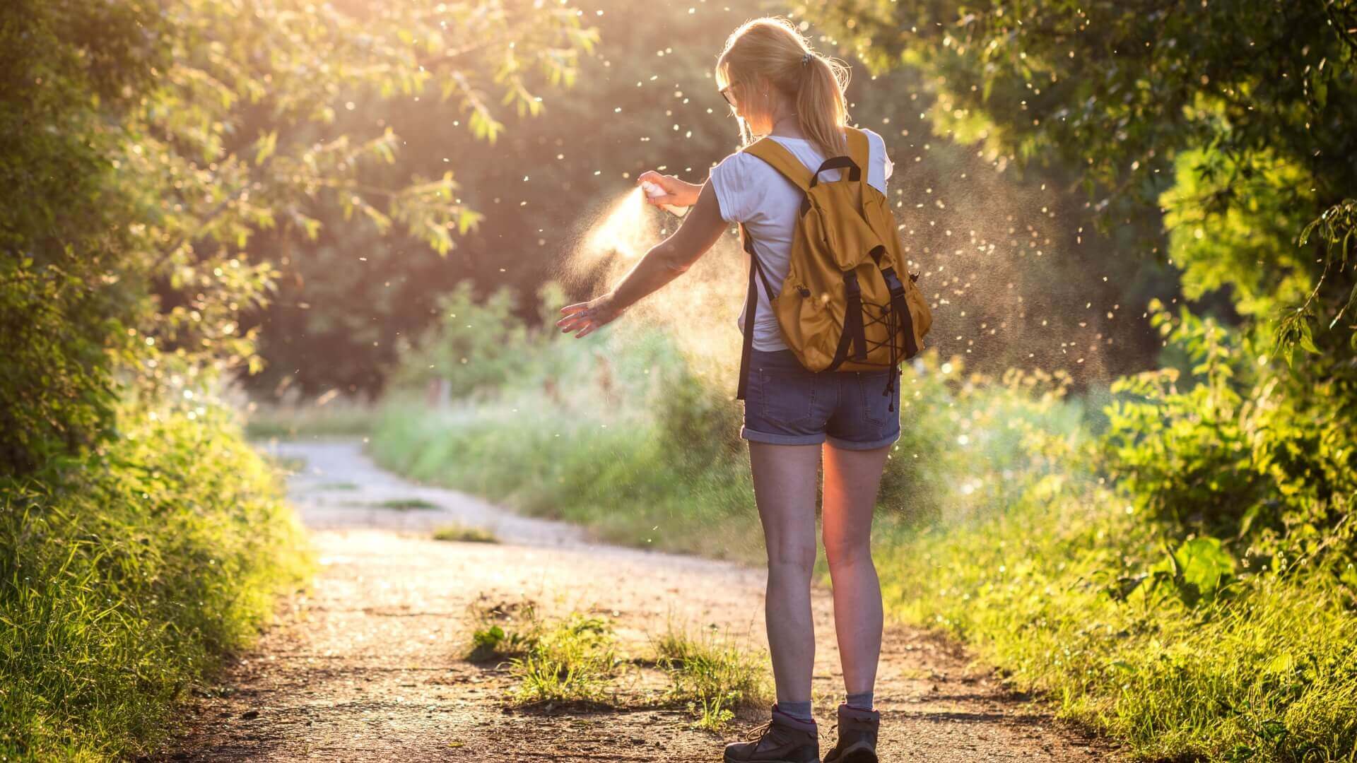 Mosquito Repellent Spray