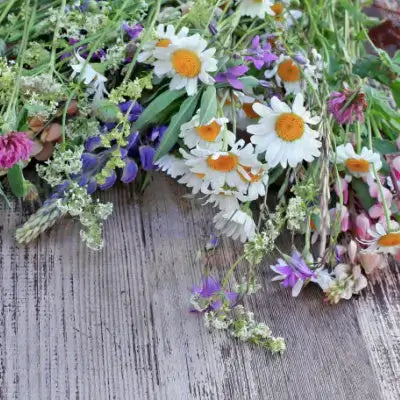 Fresh Wildflower Bouquet - Perennials Benefits In Landscaping