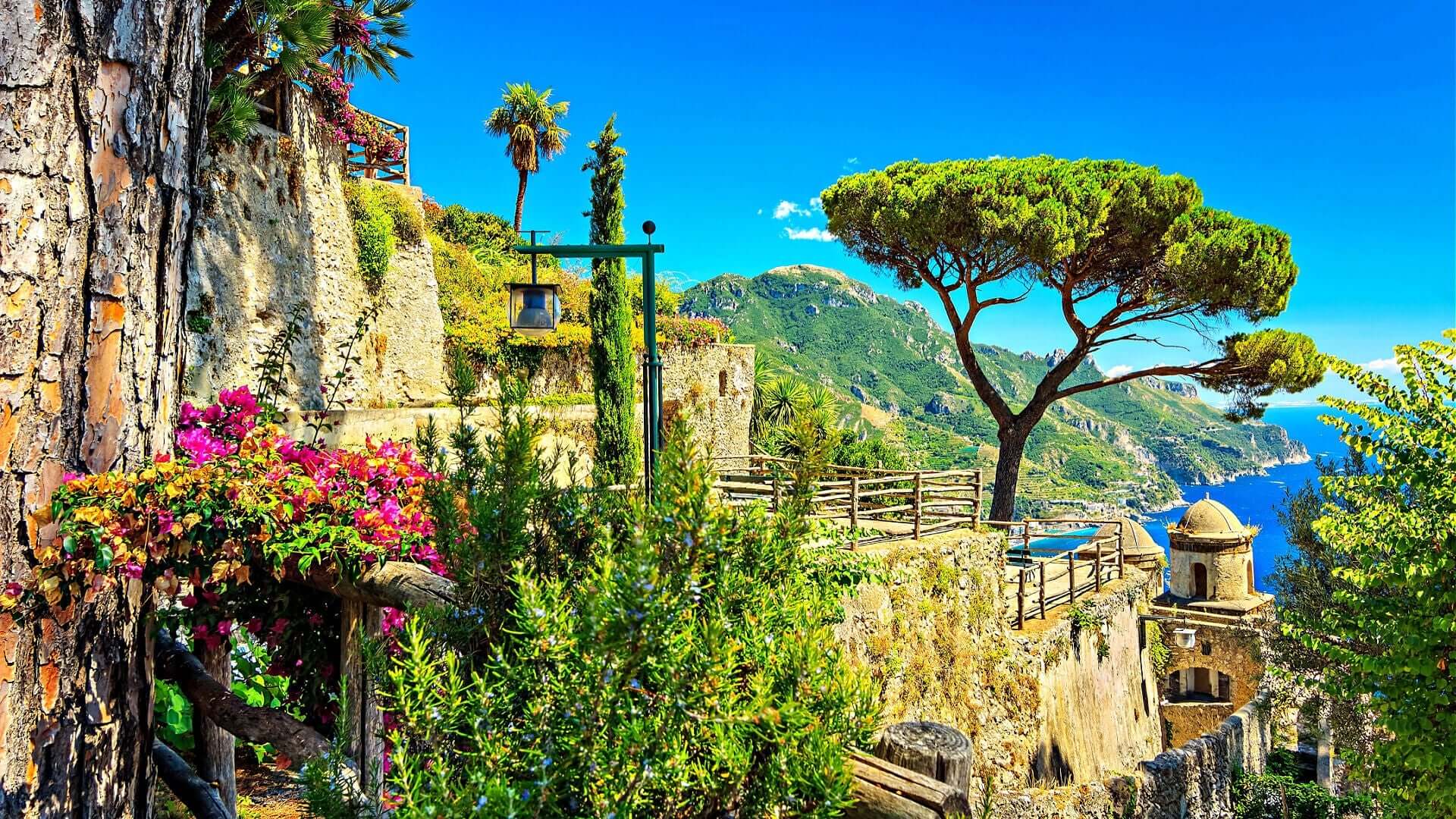 Crafting Nature's Tapestry: A Guide to Creating a Remarkable Landscape - TN Nursery