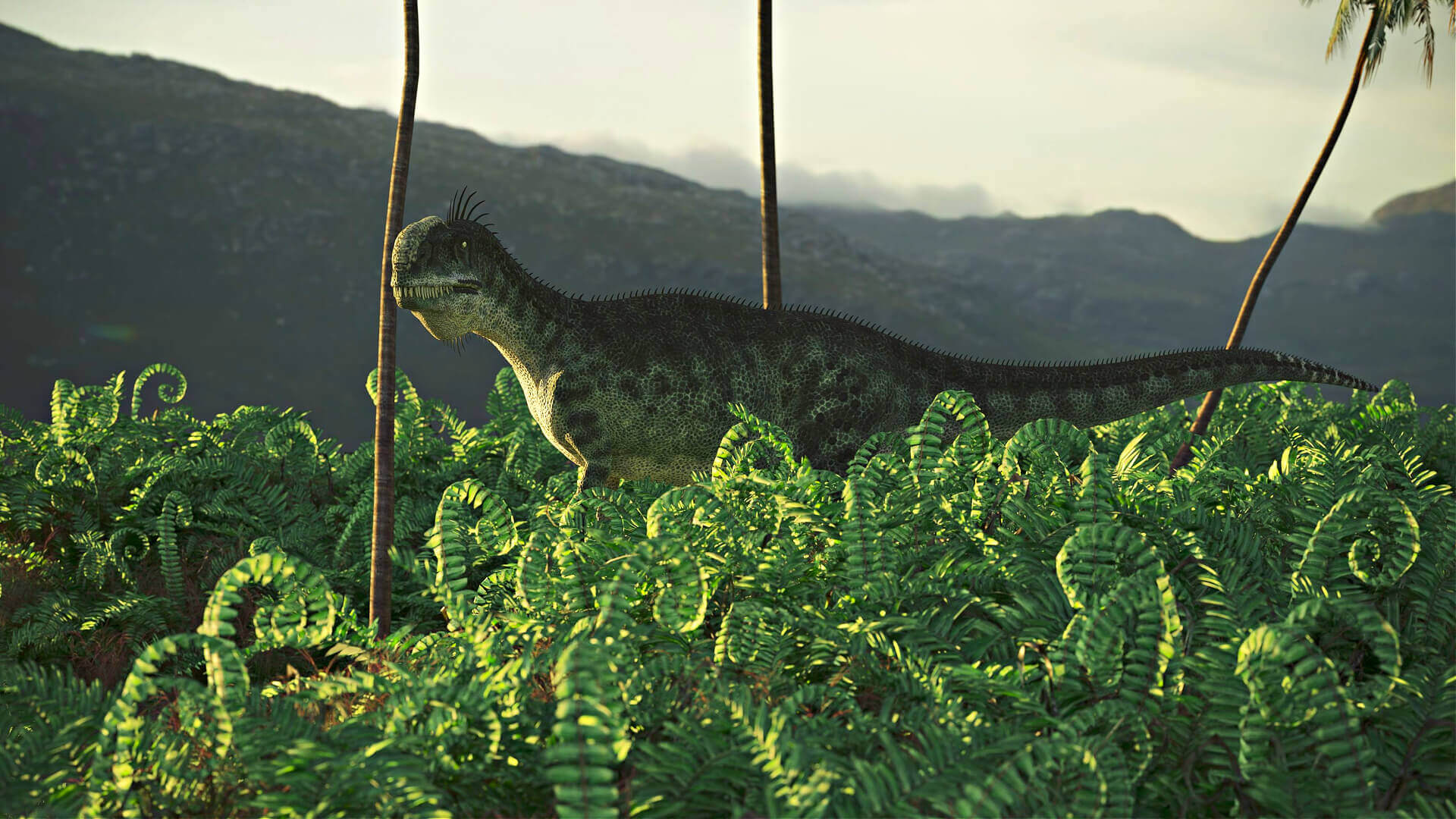 Unique Native Ferns: Uncovering Rare and Endemic Varieties - TN Nursery