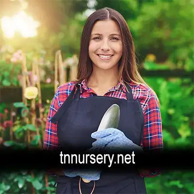 TN Nursery, Wholesale Prices and Low Prices - TN Nursery