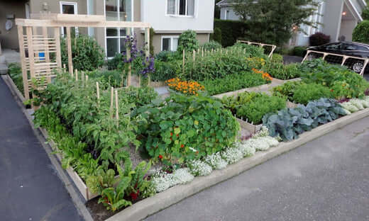 5 Gardening The Organic Way for everyone - TN Nursery