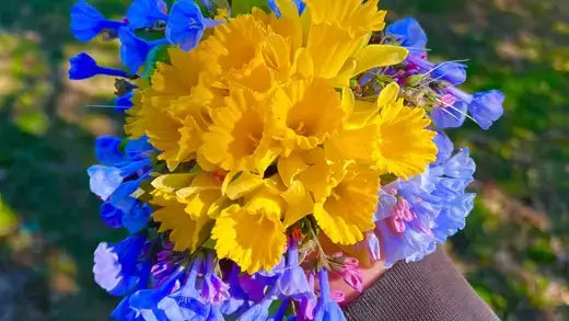 Making Your Garden Beautiful | What to Know | - TN Nursery