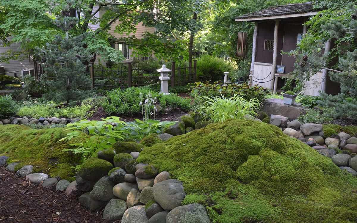 Lush green moss-covered rock formation in serene garden for moss planting