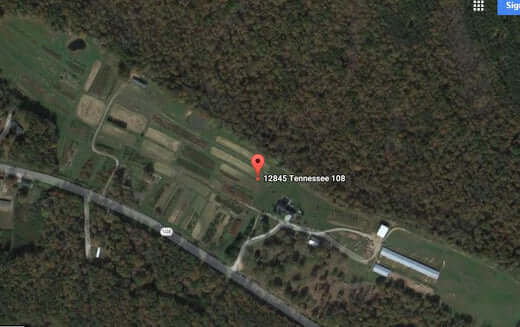 Tn Nursery Reviews From High End Clientele - TN Nursery