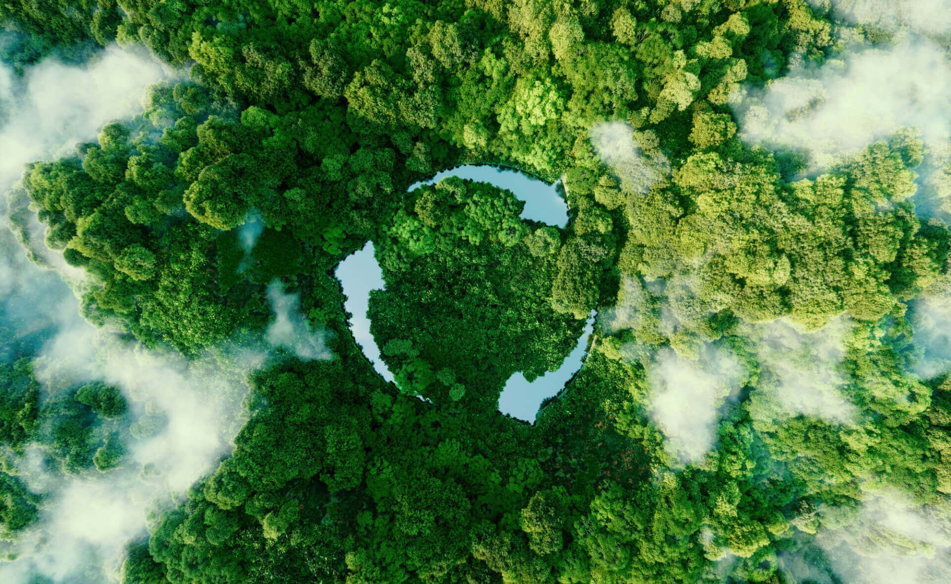 Planting for Sustainable Landscaping - TN Nursery