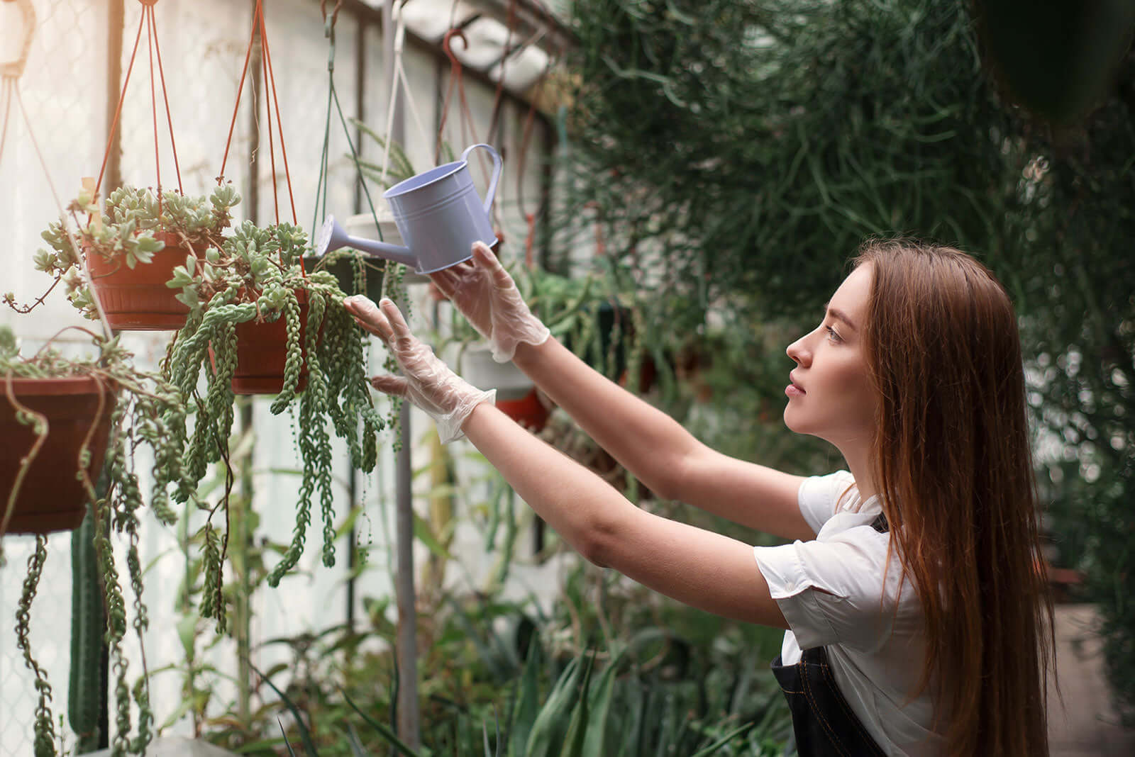 Fresh Spring Gardening Ideas for a Lush Backyard Oasis