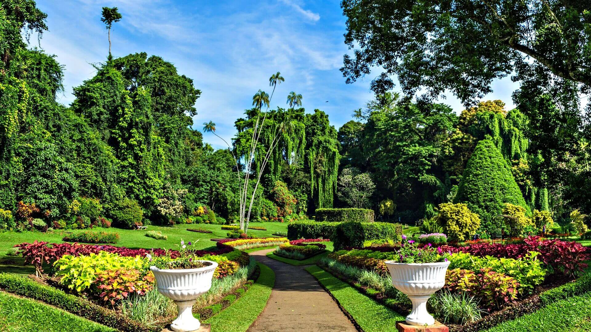 Symmetrical white ceramic urns with ornate details flank budget garden path