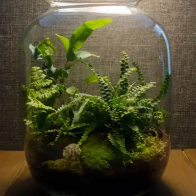 TN Nursery -Best of the Best 2023 - TN Nursery