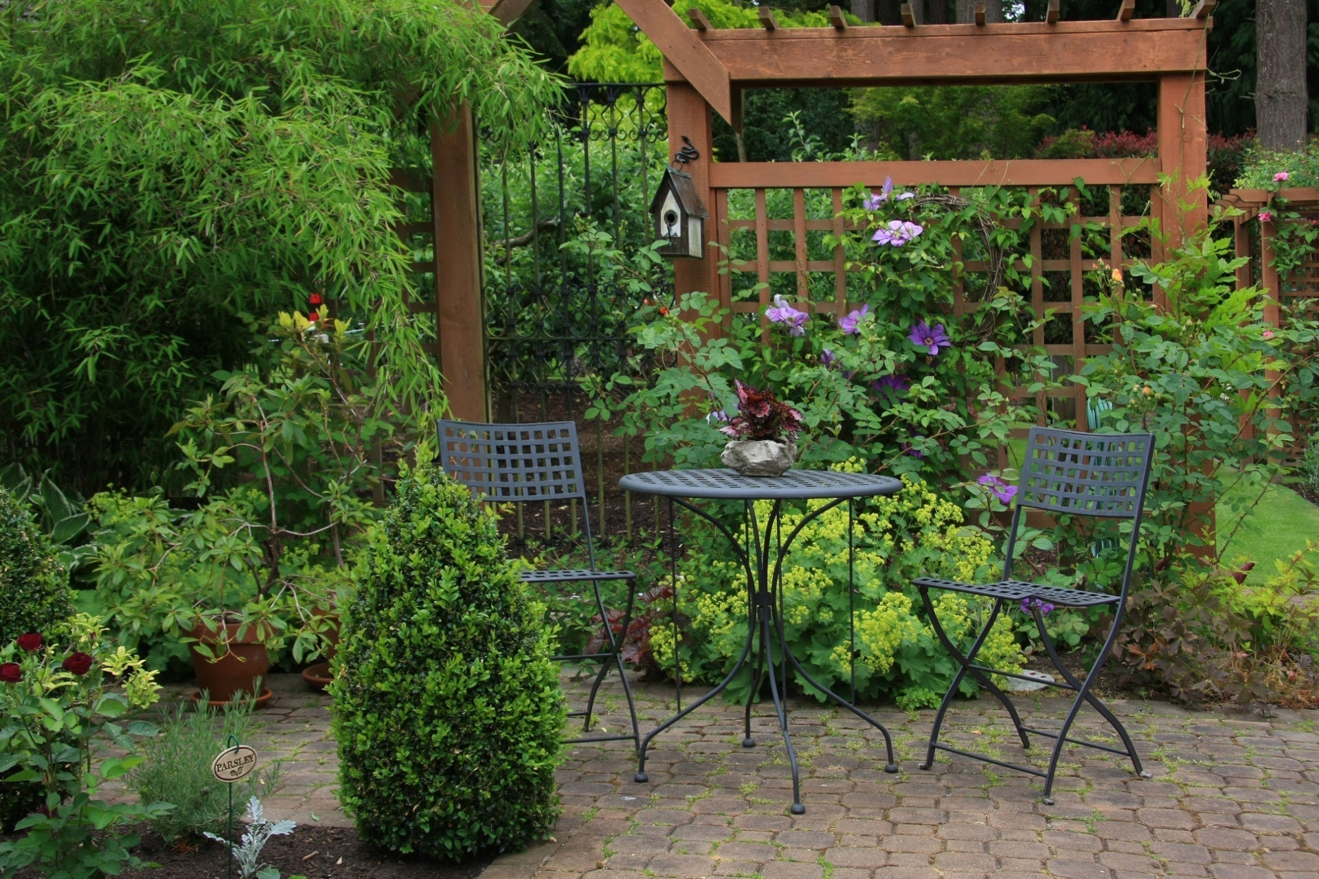 How Trellis Gardens Transform Your Vertical Space