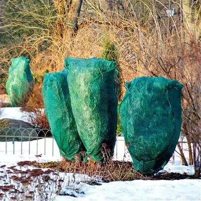 10 Methods of Preserving Plants in Winter. - TN Nursery