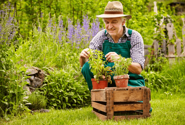 Man in green overalls and straw hat kneeling in small space garden with potted plants