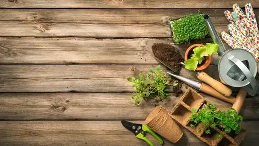 Planting with a Purpose - TN Nursery