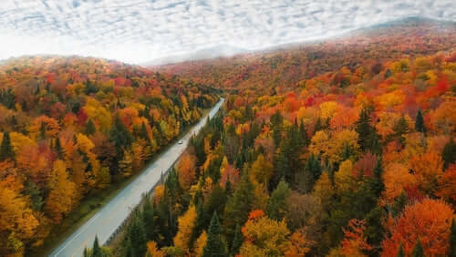 Places for fall foliage