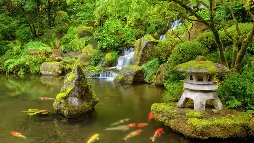 Growing Moss in Your Garden - Benefits and Environmental Impact - TN Nursery