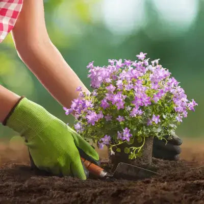 Tennessee Wholesale Nursery Reviews - TN Nursery - TN Nursery