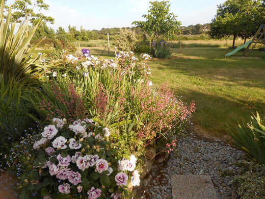 Perennials That Live More Than Two Years - TN Nursery