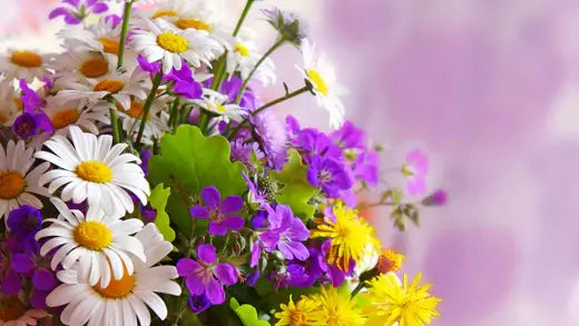 Growing Your Bouquets - TN Nursery