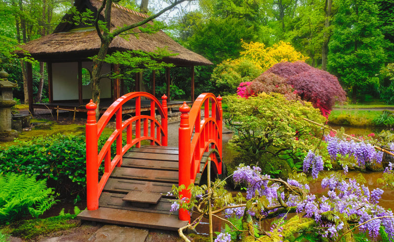 How to Create a Tranquil Zen Garden - TN Nursery