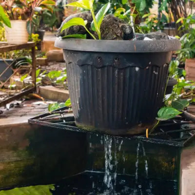 Reasons to Use Water Containers on Your Deck - TN Nursery