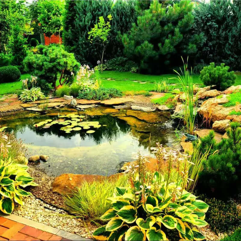 A vibrant water garden featuring a variety of green and colored plants surrounding a pond, with a stone pathway and lush trees in the background.