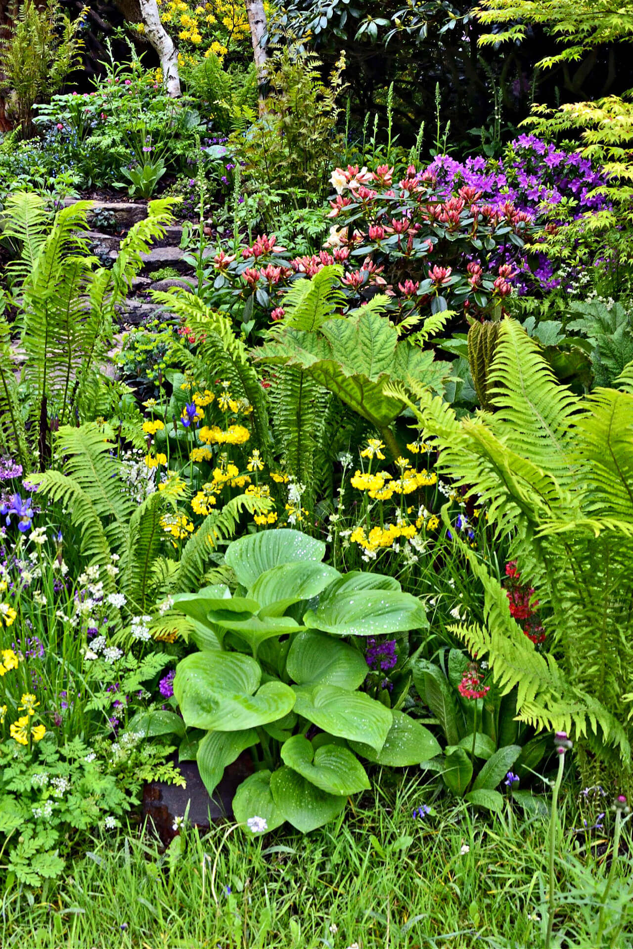 fern and perennial garden