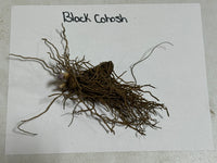 Root of Black Cohosh on a white background with text