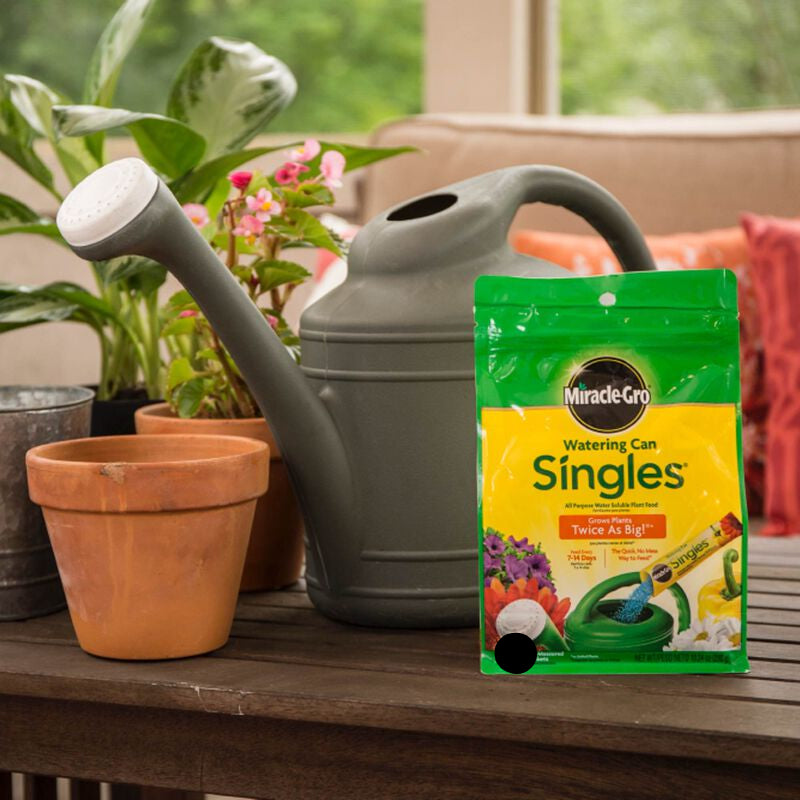 A packet of Miracle Grow Watering Can Singles placed next to a green watering can, with a background of potted plants.