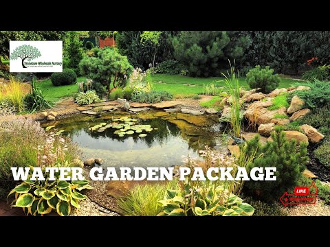 TN Nursery Video on Water Garden Plants