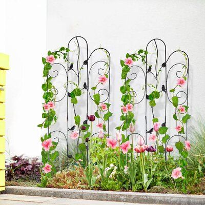 Red Barrel Studio® 2 Pack Garden Trellis For Climbing Plants Rustproof Sturdy Iron Birds&Leaves Trellis For Potted … in 2023 | Garden trellis, Climbing roses, Metal trellis