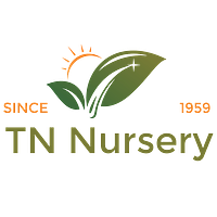 TN Nursery
