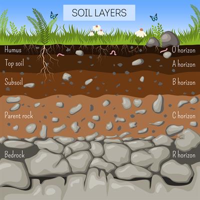 Soil erosion — lesson. Science State Board, Class 10.