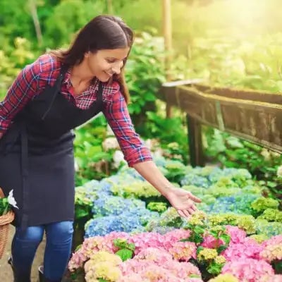 Tennessee Wholesale Nursery Reviews - TN Nurseries - TN Nursery