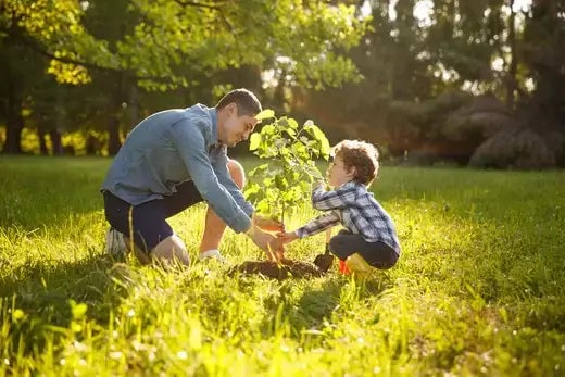 TN Tennessee Wholesale Nursery Reviews - TN Nursery