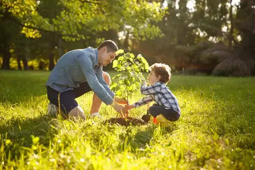 TN Tennessee Wholesale Nursery Reviews - TN Nursery