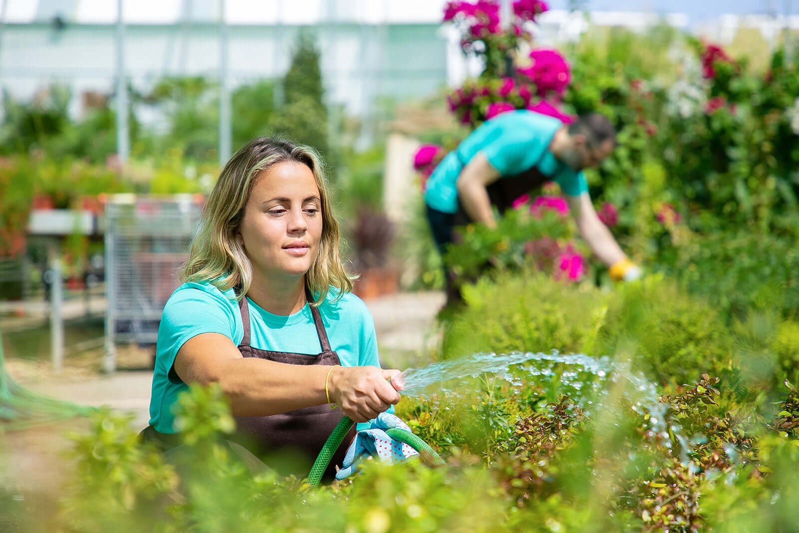 Spring Garden Care: Essential Tips for a Lush Backyard