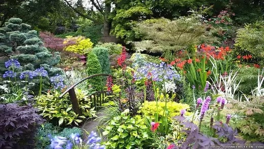How to Grow a Flower Garden - TN Nursery