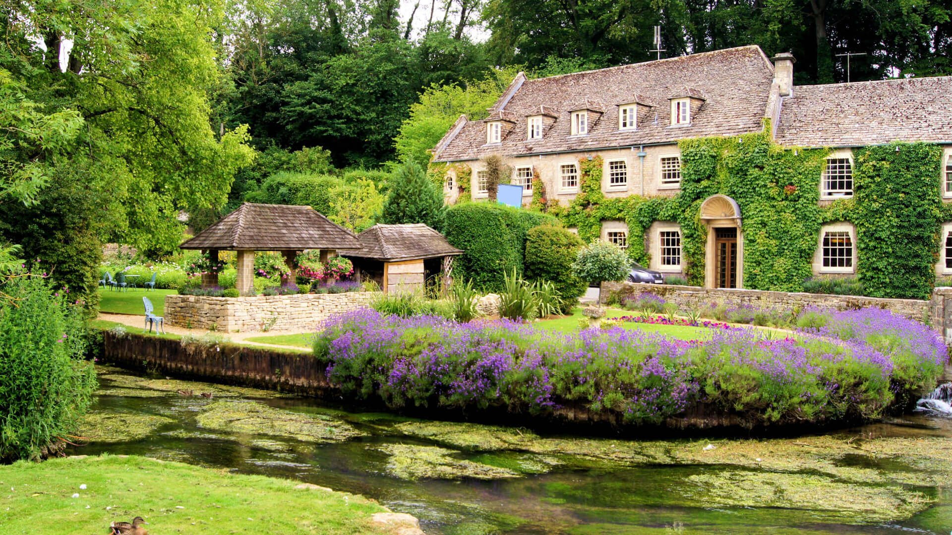 How To Garden With Perennials Around Your Creek - TN Nursery