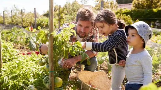 10 Benefits of Family Gardening - TN Nursery