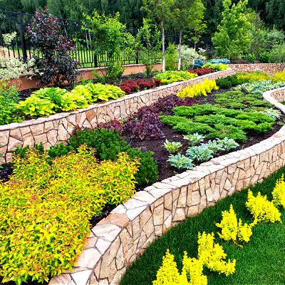 10 Guides to Save Money Landscaping - TN Nursery