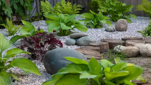 10 Landscaping Ideas For A Rock Garden - TN Nursery