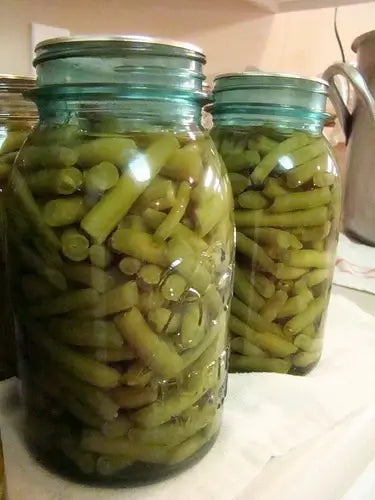 10 Ways in Canning Green Beans Visit TN Nursery - TN Nursery