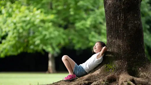 10 Ways that Shade Trees Reduce Costs - TN Nursery