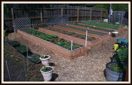 19 Ideas to Redesign Your Garden - TN Nursery