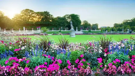 Meadowscaping...Flower Gardens will Never be the Same - TN Nursery