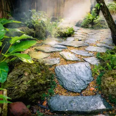 Mosses In Landscaping