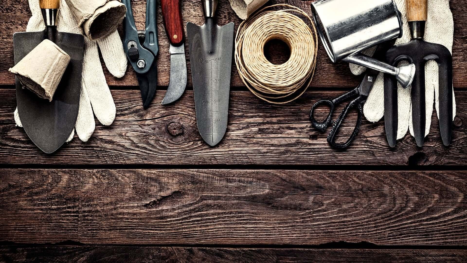 Gardening for Beginners: Essential Tools and Equipment You Need - TN Nursery