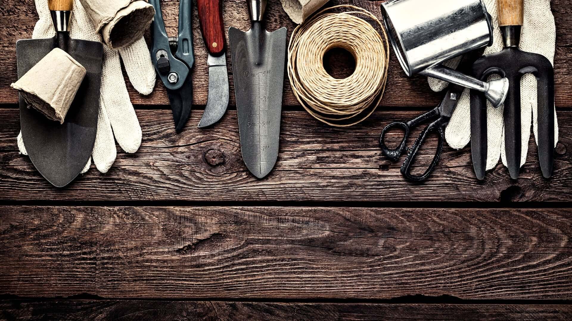 Gardening for Beginners: Essential Tools and Equipment You Need - TN Nursery