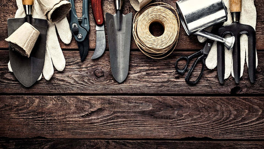 Gardening for Beginners: Essential Tools and Equipment You Need - TN Nursery