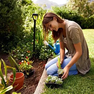 5 Simple New Year's Resolutions for Your Health - TN Nursery